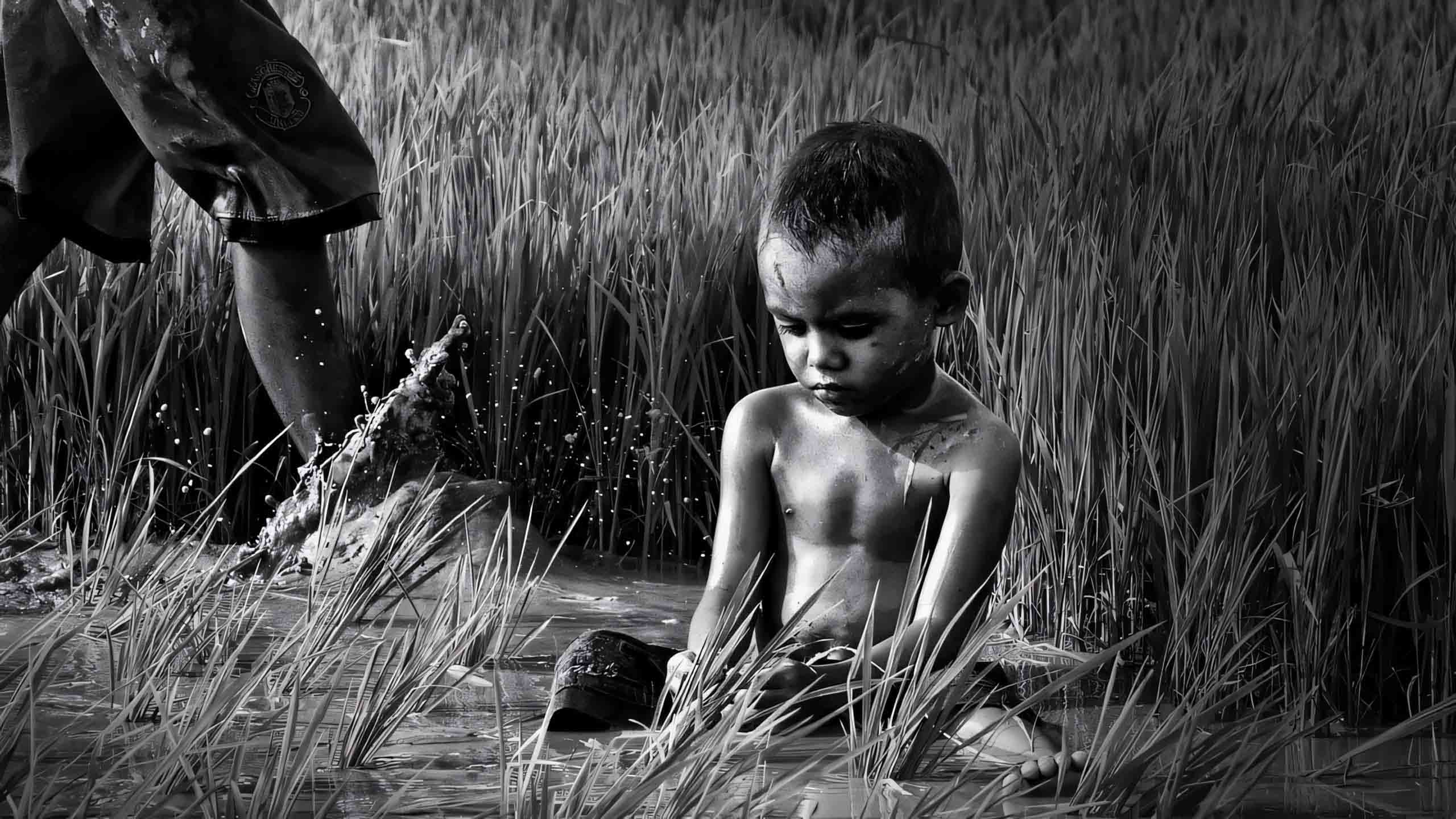 anh doi song xa hoi 2560px 1440px 2k 3