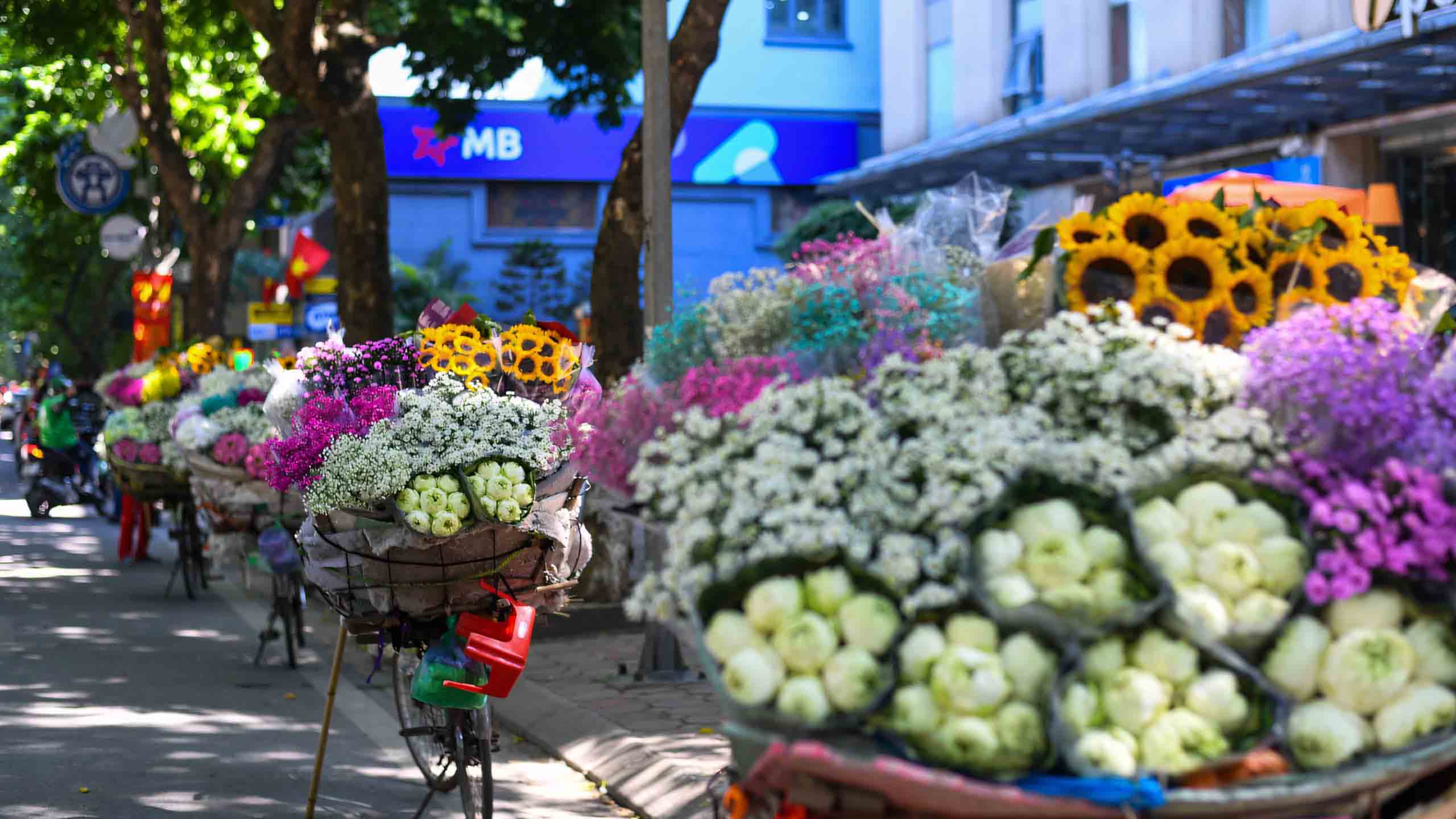 Hồ Tây mùa thu khơi gợi nỗi buồn lãng mạn và hoài cổ