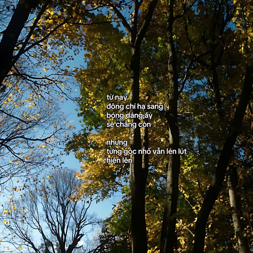 cau noi hay hinh anh mua thu buon 960px 960px avatar 1