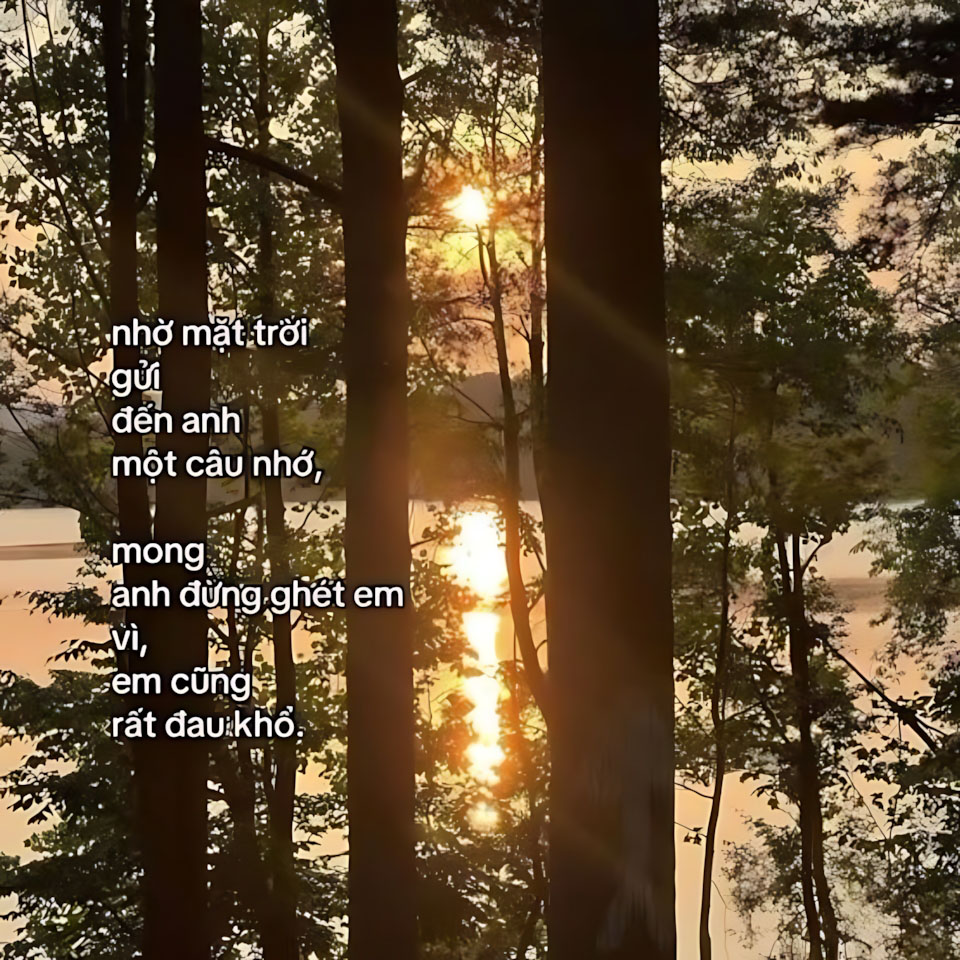 cau noi hay hinh anh mua thu buon 960px 960px avatar 2