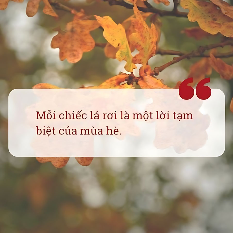 cau noi hay hinh anh mua thu buon 960px 960px avatar 4