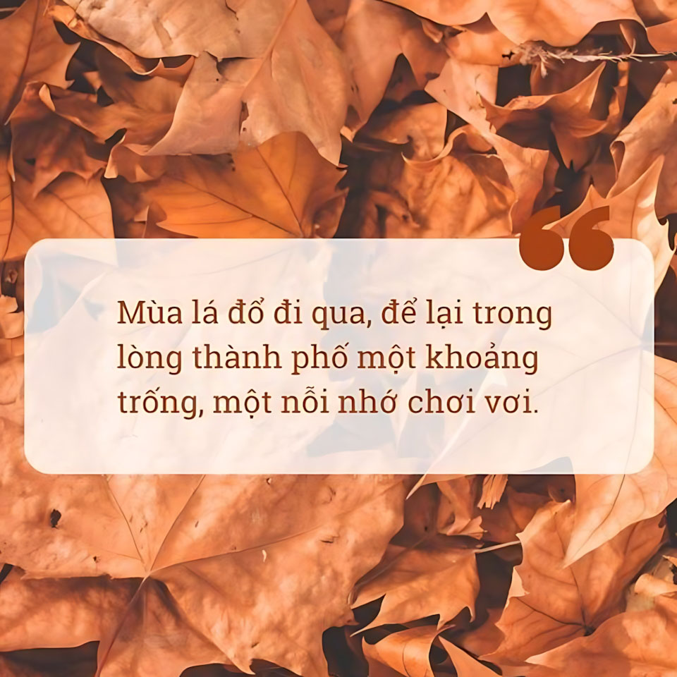 cau noi hay hinh anh mua thu buon 960px 960px avatar 5