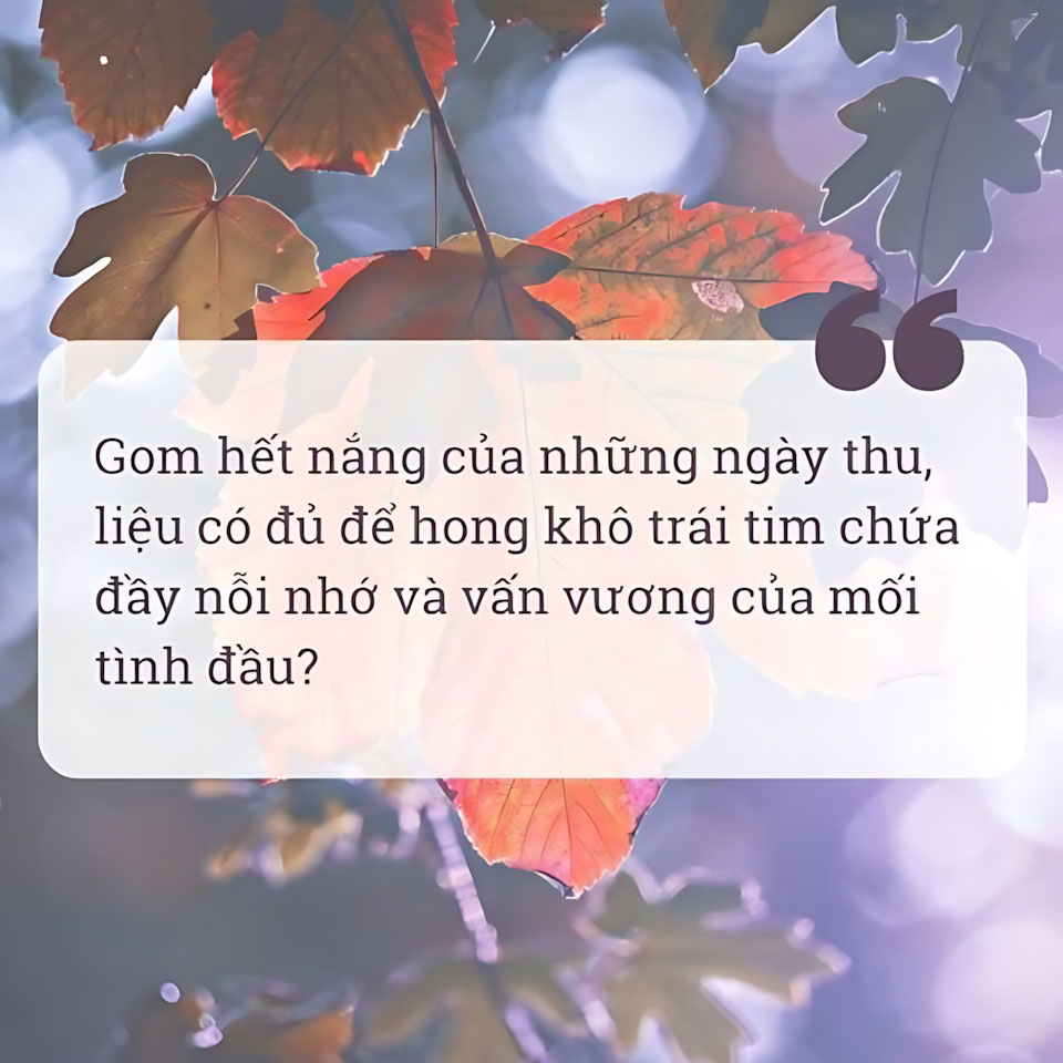 cau noi hay hinh anh mua thu buon 960px 960px avatar 6