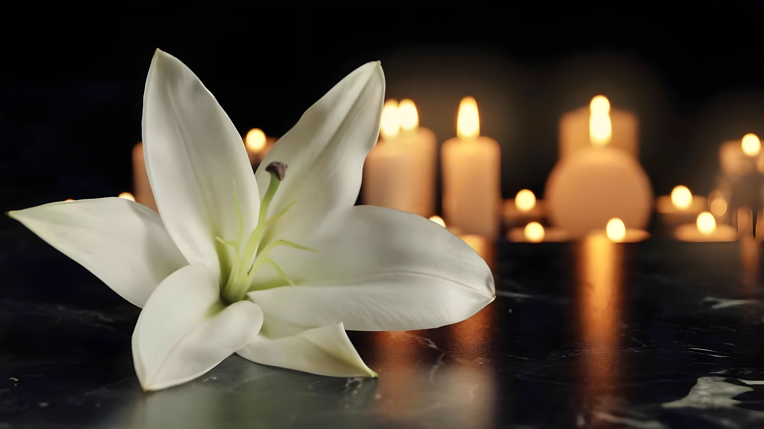hinh anh chia buon dam tang cong giao 2560px 1440px 2k 2