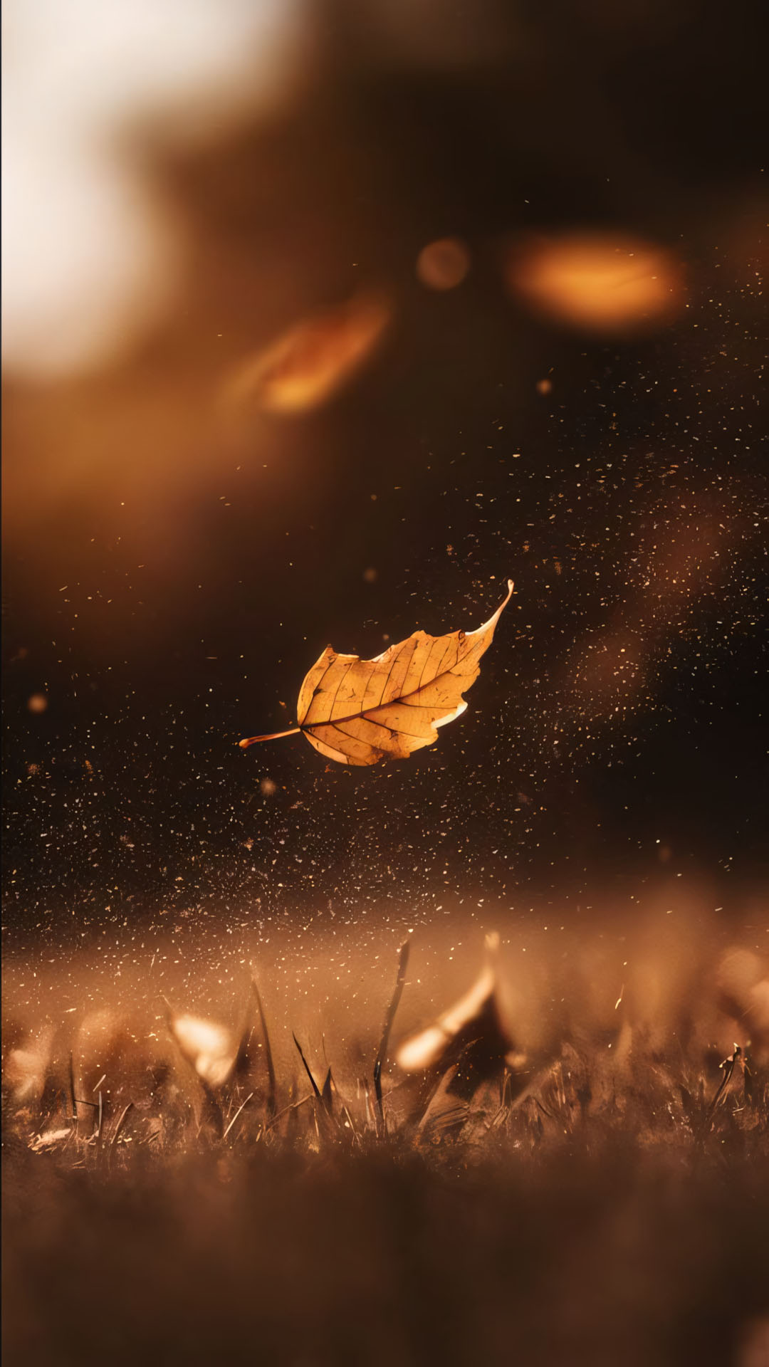 hinh anh la roi buon 1920px 1080px full hd 22