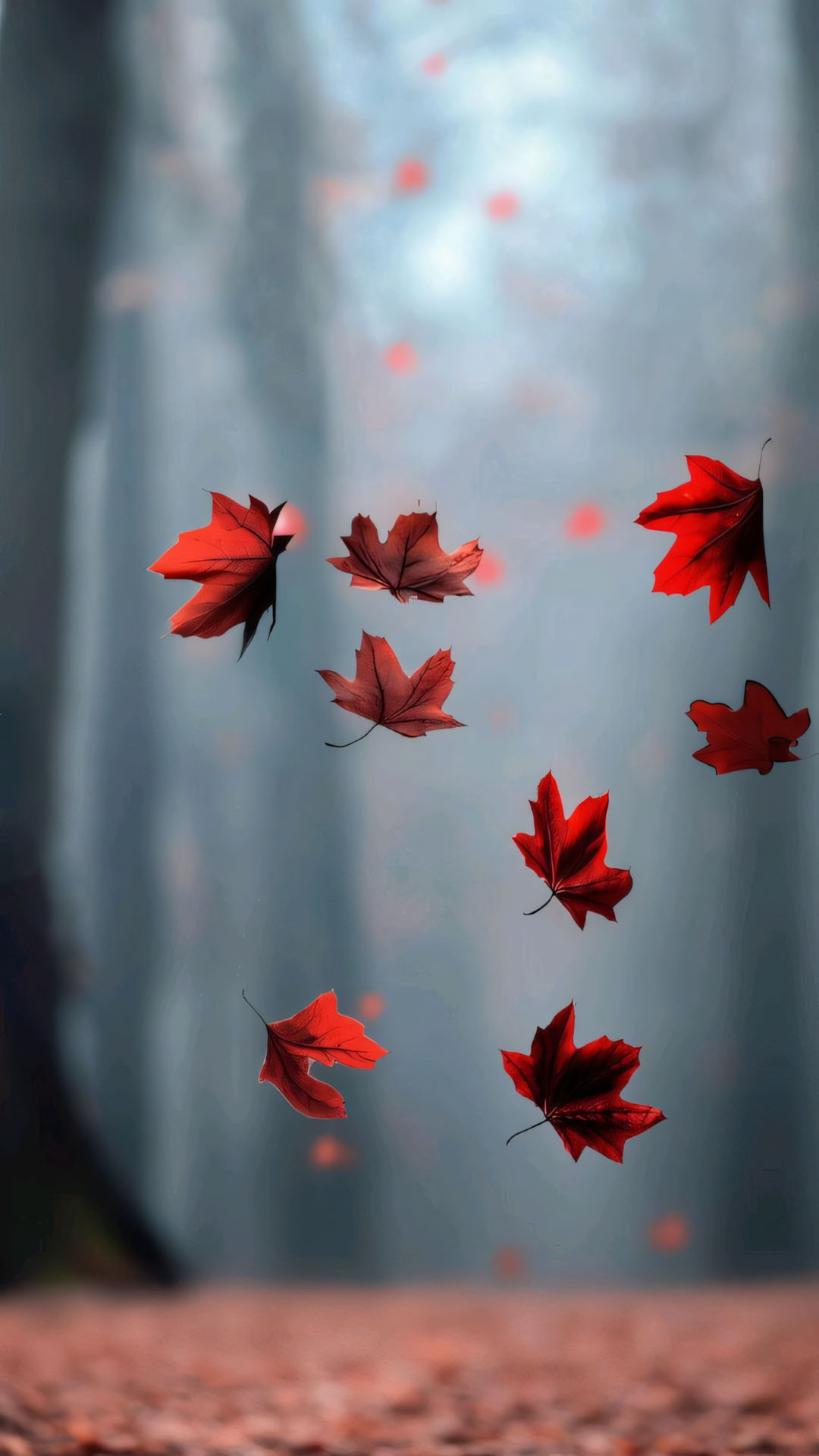 hinh anh la roi buon 1920px 1080px full hd 5