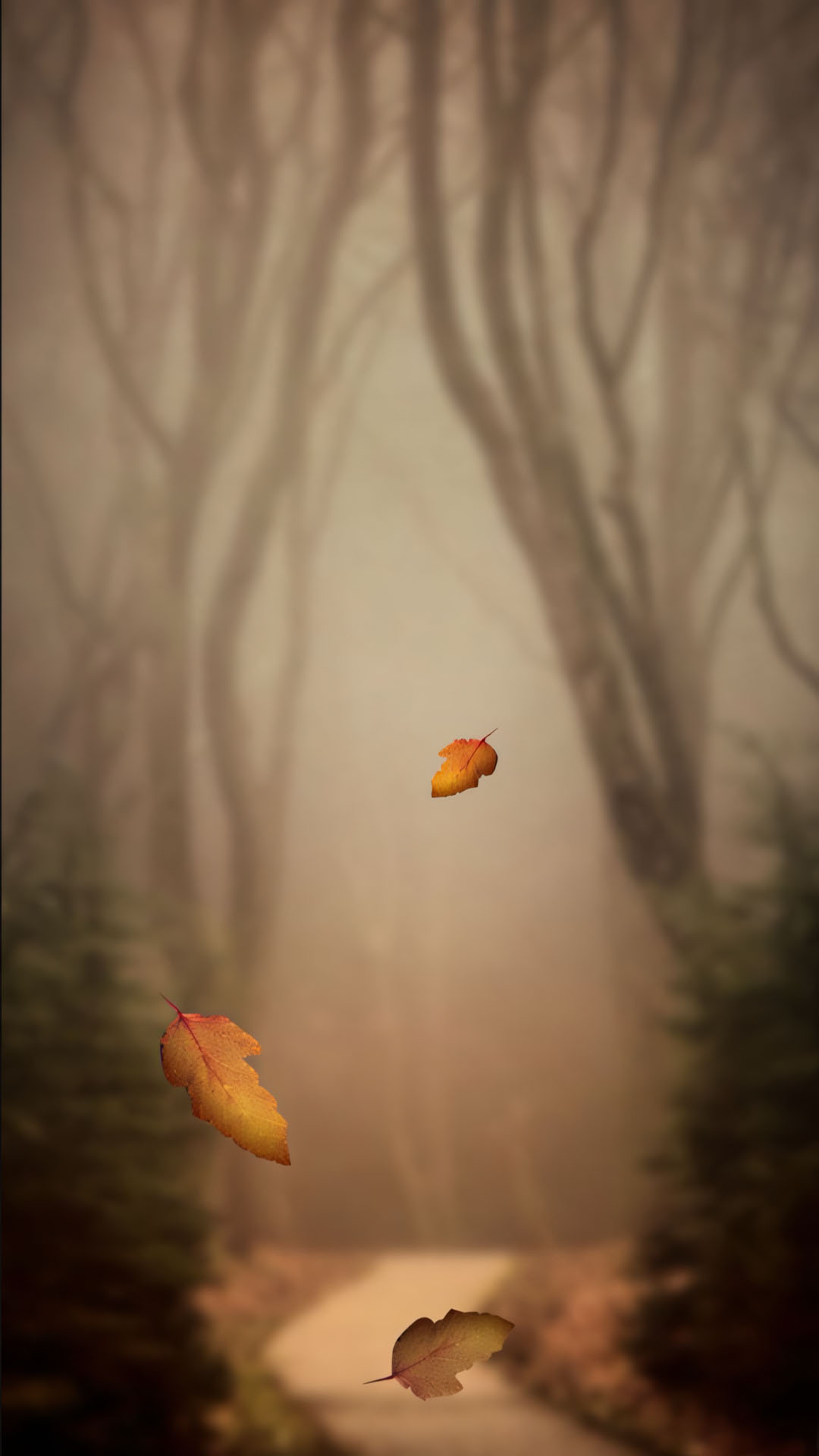 hinh anh la roi buon 1920px 1080px full hd 8