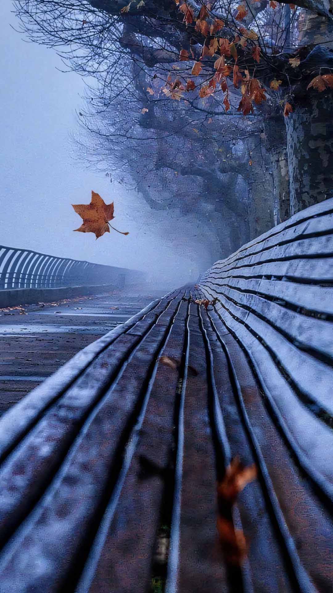 hinh anh la roi buon 1920px 1080px full hd 9