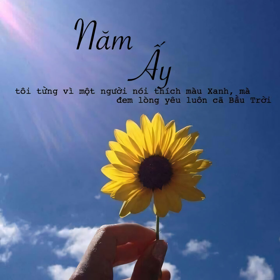 nhung cau noi hay hoa mat troi anh hoa huong duong buon 960px 960px avatar 3
