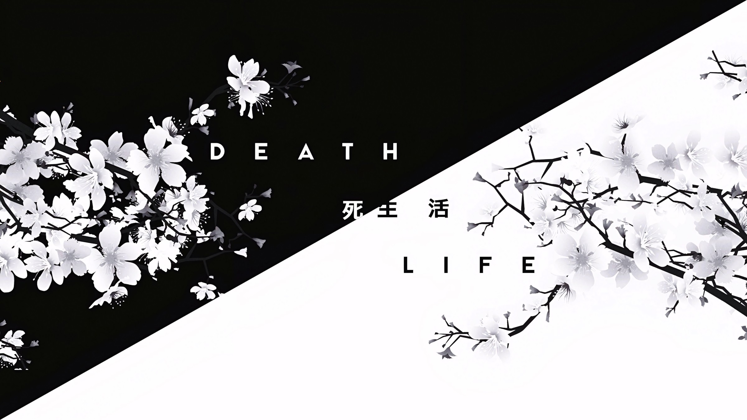 567+ Ảnh Đen Trắng 🖤 (Avatar, Anime, Ngầu, 4K ) Cho Điện Thoại Và Máy Tính