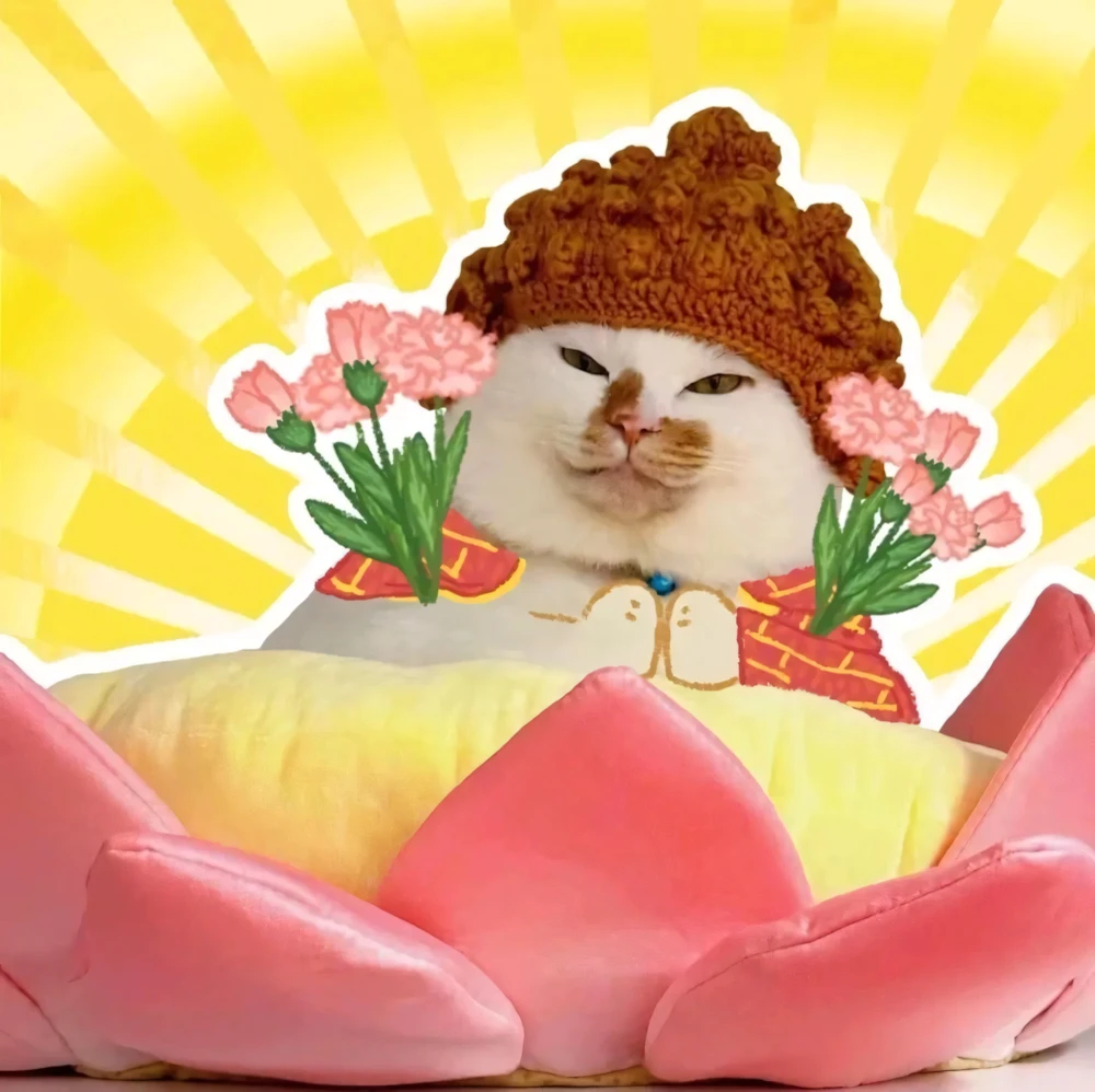 567+ Ảnh Đại Diện Zalo Đẹp 💬 (Kích Thước, Mặc Định, Cute, Chất) Tải Miễn Phí