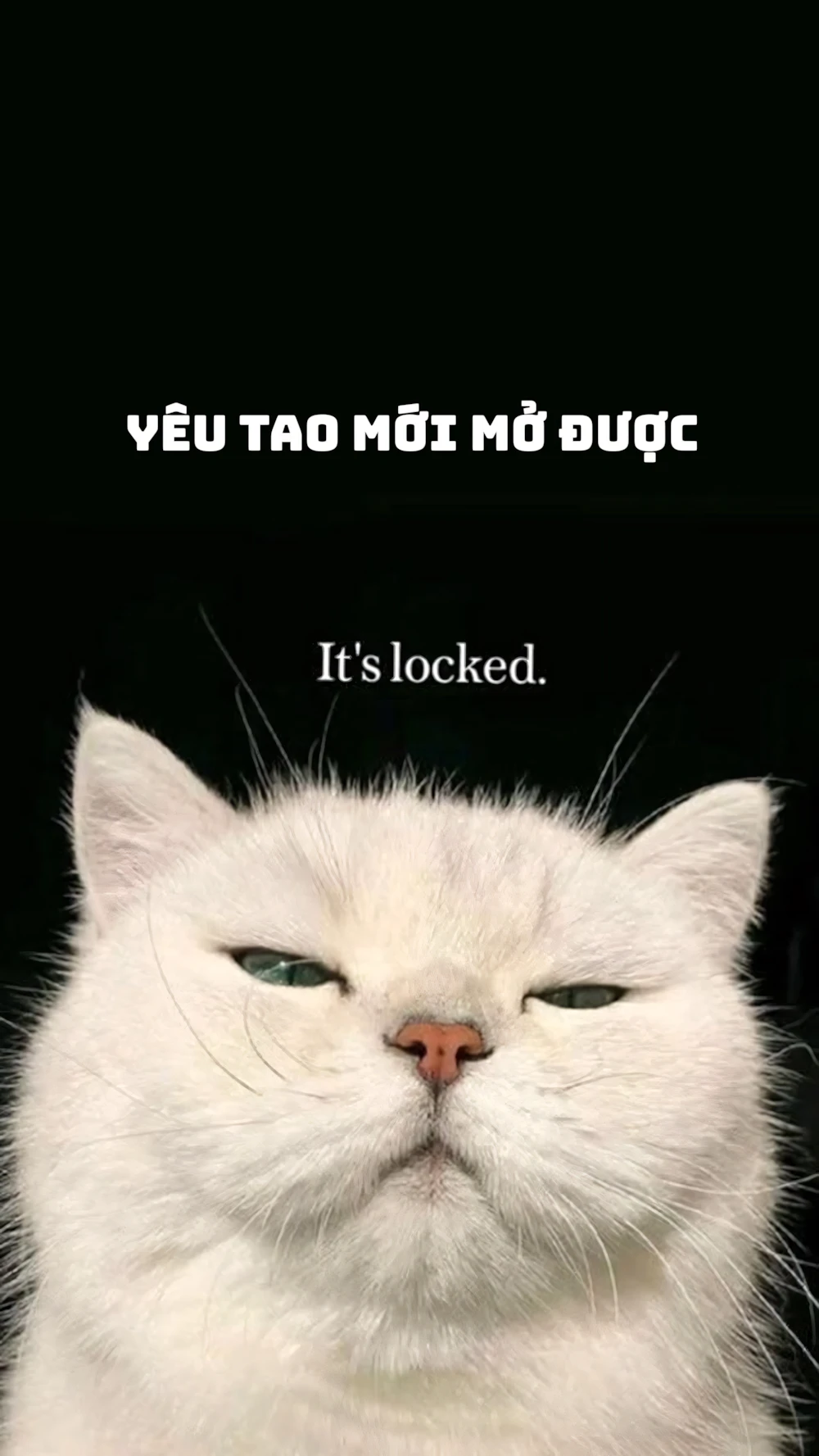 863+ Hình Nền Cute Có Chữ Ngầu 🖤 (Khẩu Hiệu, Phá Cách, Gen Z) Cho Màn Hình Khóa