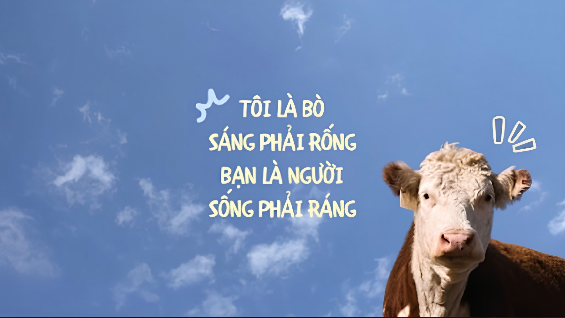 863+ Hình Nền Cute Có Chữ Ngầu 🖤 (Khẩu Hiệu, Phá Cách, Gen Z) Cho Màn Hình Khóa