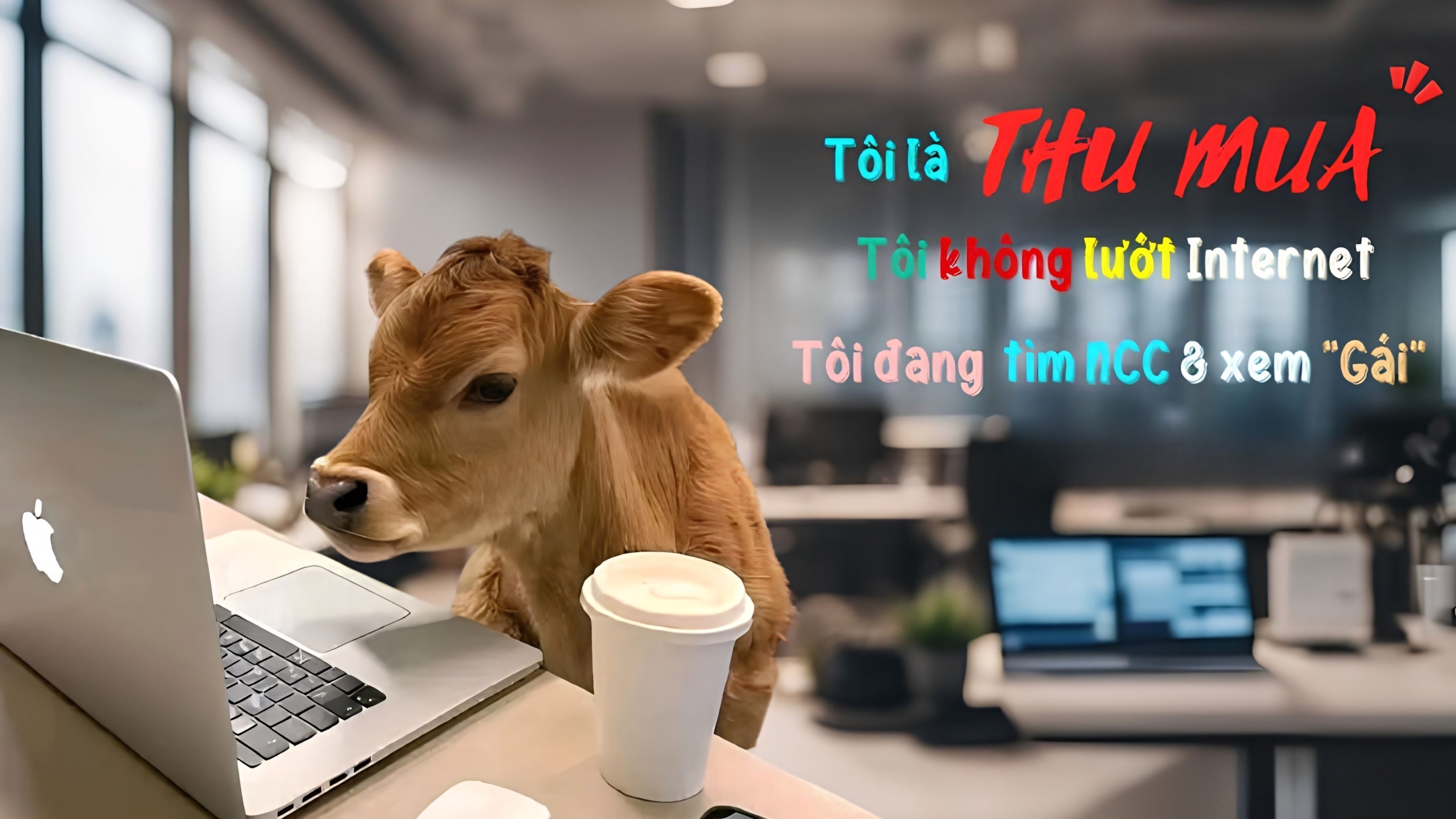 863+ Hình Nền Cute Có Chữ Ngầu 🖤 (Khẩu Hiệu, Phá Cách, Gen Z) Cho Màn Hình Khóa
