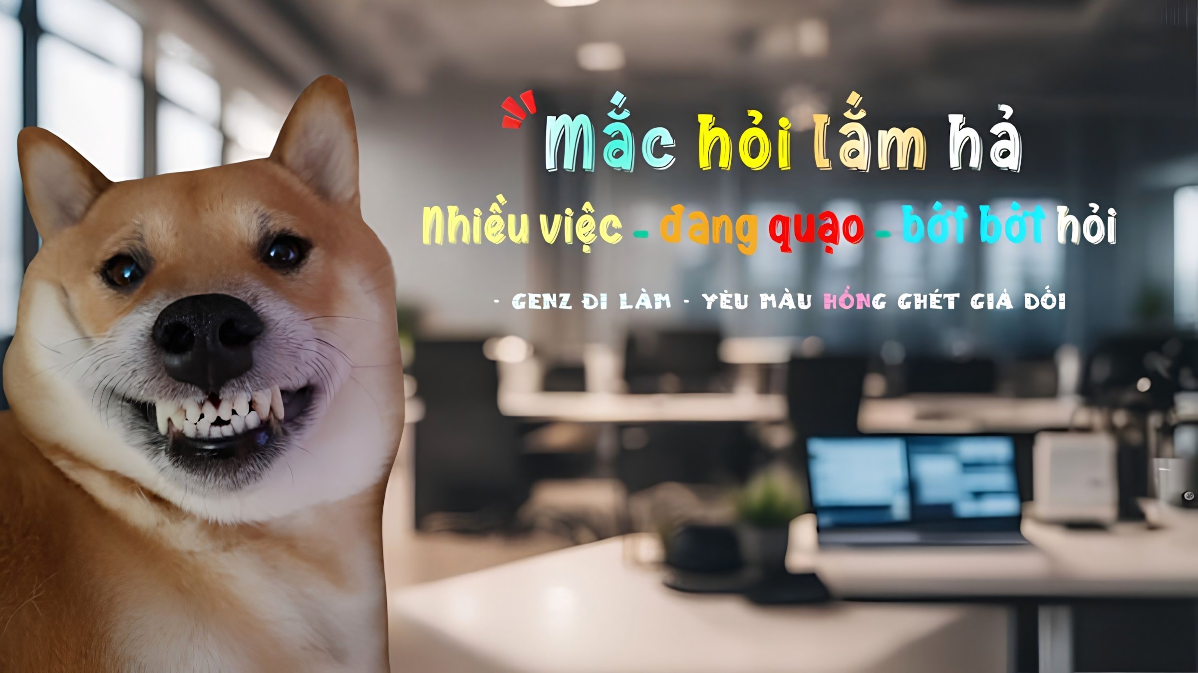 347+ Hình Nền Laptop 4K 🖥️ (Cute, Anime, Thiên Nhiên) Cho Win 11