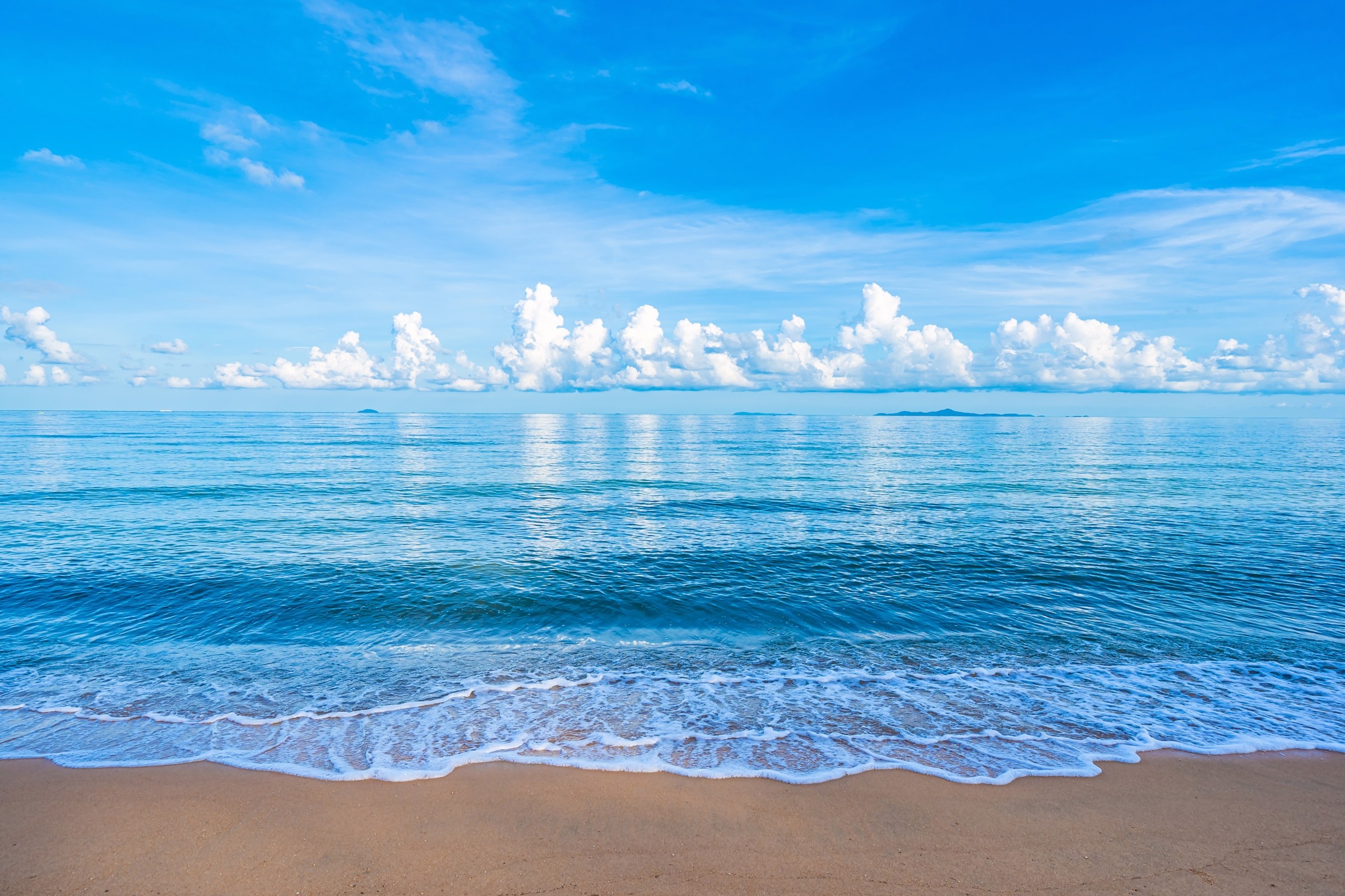 719+ Hình Nền 4K 1920×1080 Thiên Nhiên 🌿 (May Mắn, Phong Cảnh, Tươi Mát) Cho Máy Tính