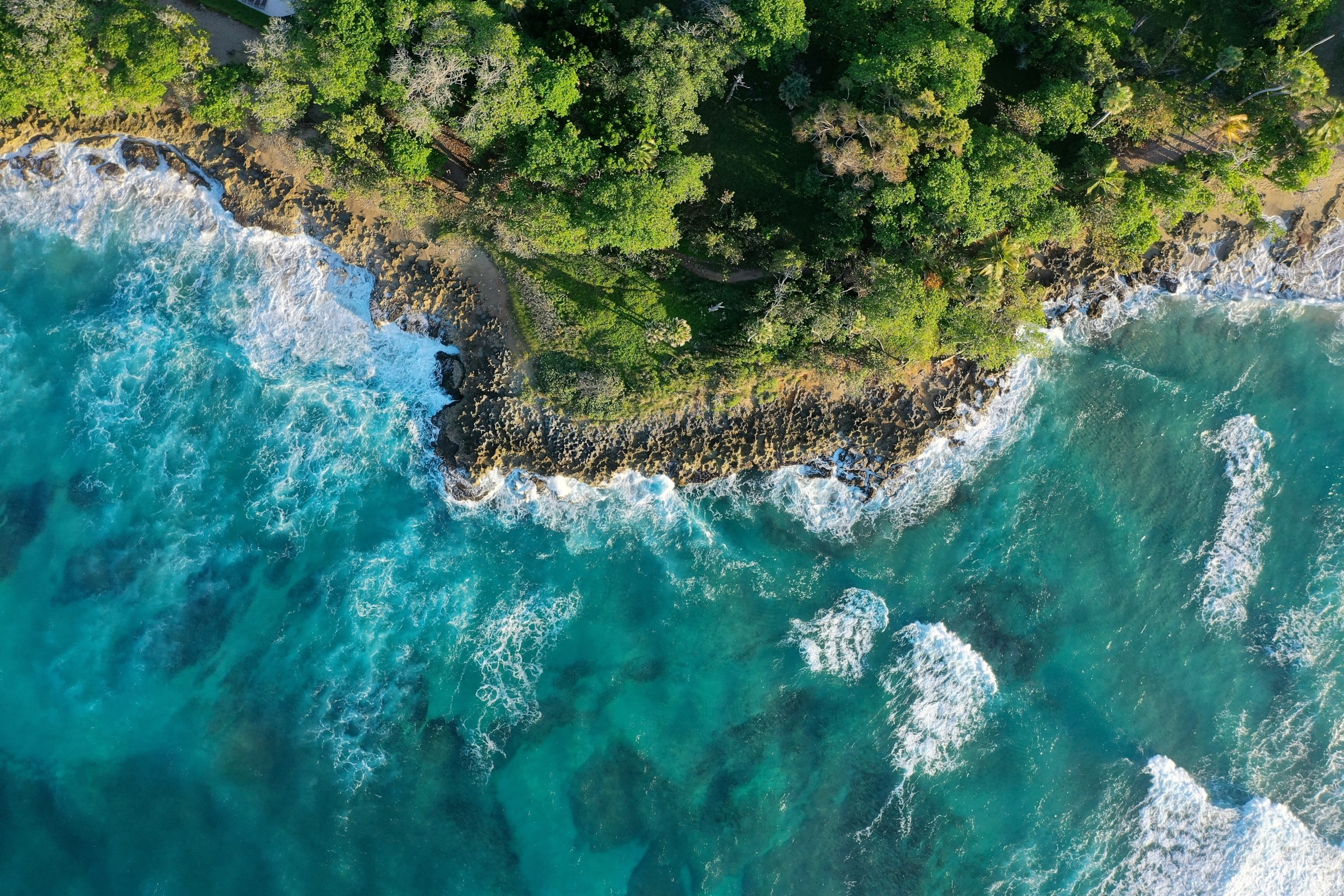 719+ Hình Nền 4K 1920×1080 Thiên Nhiên 🌿 (May Mắn, Phong Cảnh, Tươi Mát) Cho Máy Tính
