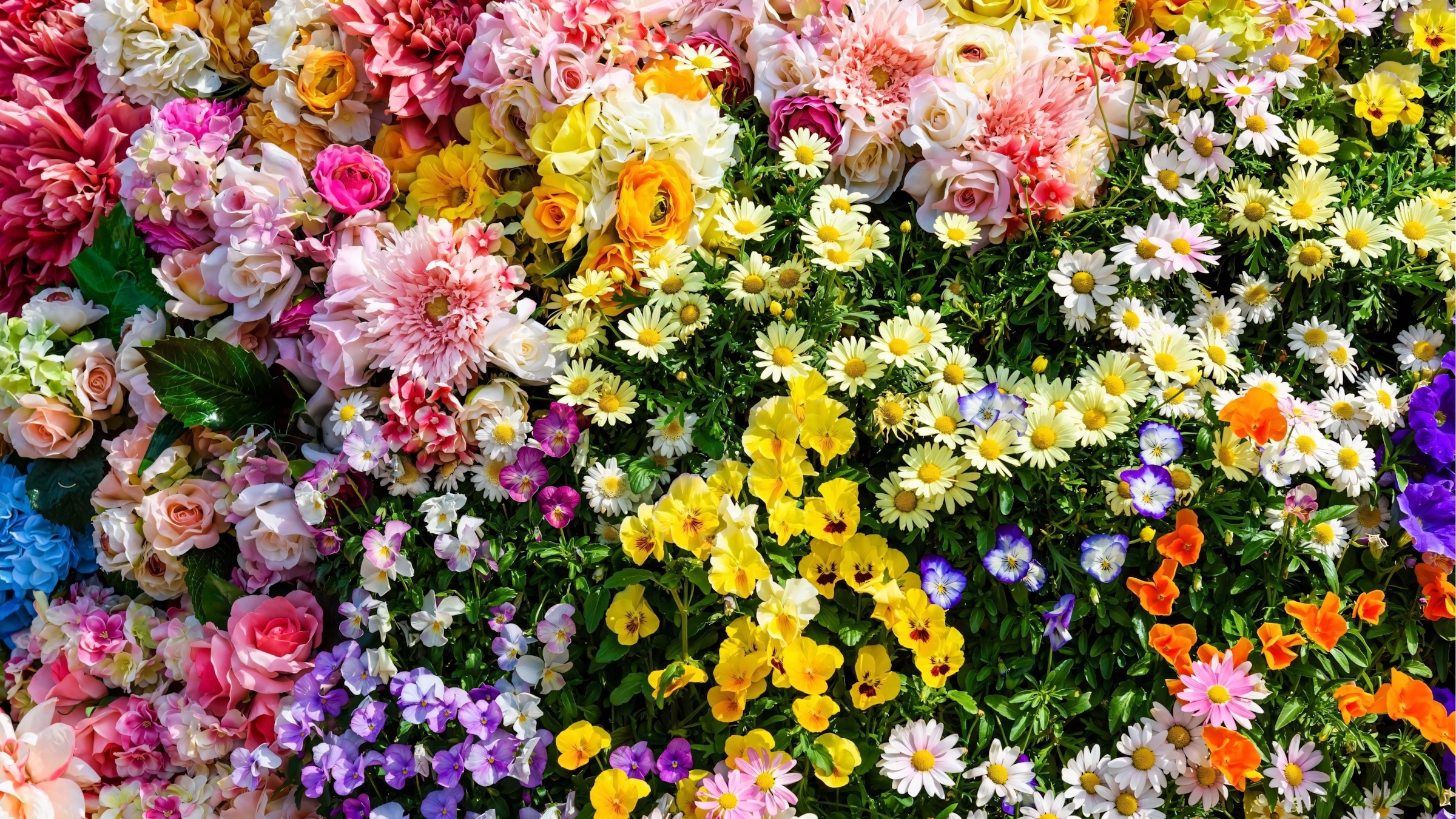 1.083+ Hình Nền Máy Tính Hoa Có Chữ 💐 (Động Lực, Cỏ Mùa Xuân, Tối Giản) Cho MacOS