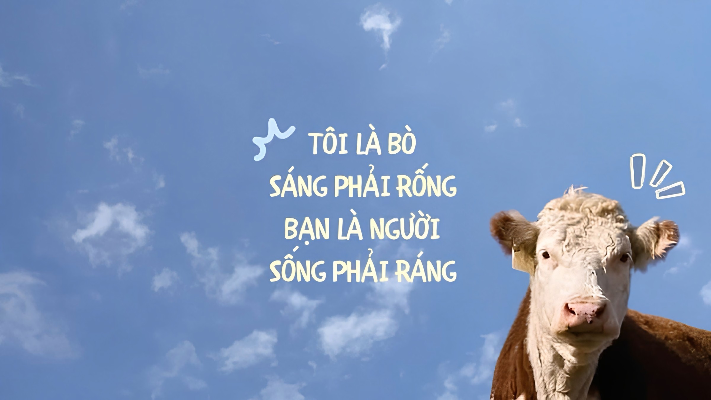 529+ Hình Nền Máy Tính 4K Cute Hài Hước 😂 (Vui Nhộn, Ngộ Nghĩnh, Đơn Giản) Cho Desktop