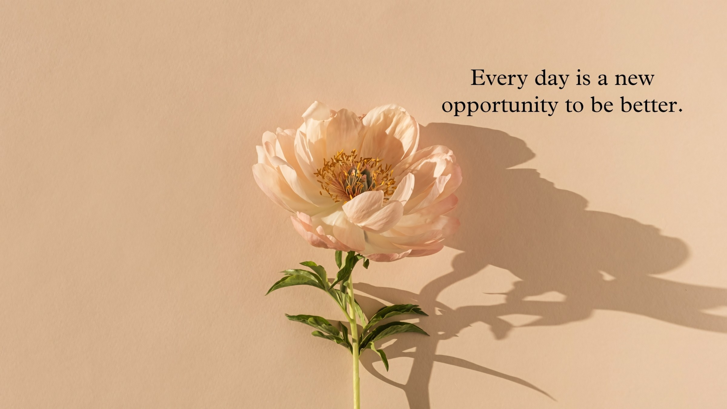 1.083+ Hình Nền Máy Tính Hoa Có Chữ 💐 (Động Lực, Cỏ Mùa Xuân, Tối Giản) Cho MacOS