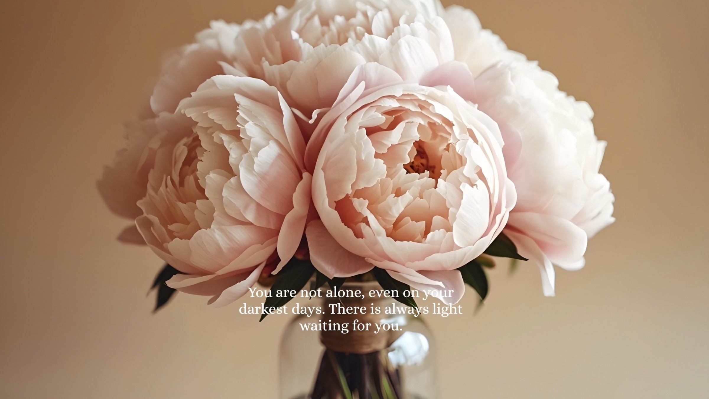 1.083+ Hình Nền Máy Tính Hoa Có Chữ 💐 (Động Lực, Cỏ Mùa Xuân, Tối Giản) Cho MacOS